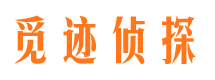 花山市场调查